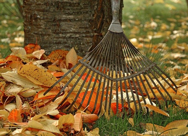 rake and leaves